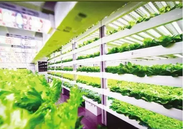 南京諾爾迅亮化，照明亮化工程